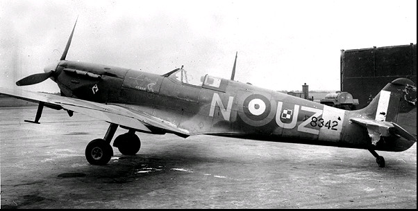 Polish-306-Sqn-Spitfire-August-1942.jpg